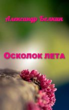Книга - Александр  Белкин - Осколок лета (СИ) - читать