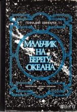 Книга - Геннадий Моисеевич Шингарев - Мальчик на берегу океана - читать