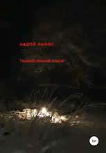 Книга - Андрей  Ланиус - Темной-темной ночью… - читать
