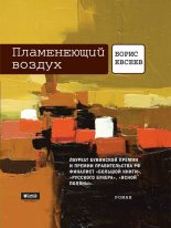 Книга - Борис Тимофеевич Евсеев - Пламенеющий воздух - читать