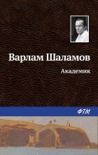 Книга - Варлам Тихонович Шаламов - Академик - читать