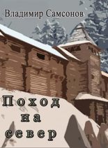 Книга - Владимир Самсонович Самсонов - Поход на север (СИ) - читать