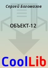 Книга - Сергей  Богомазов - ОБЪЕКТ-12 - читать