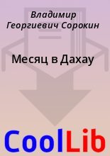Книга - Владимир Георгиевич Сорокин - Месяц в Дахау - читать