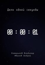 Книга - Владимир Валерьевич Комарьков - Дело одной секунды - читать