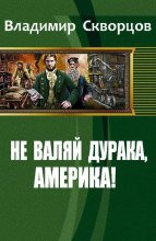 Книга - Владимир Николаевич Скворцов - Не валяй дурака, Америка - читать