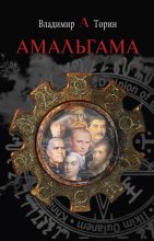 Книга - Владимир Александрович Торин - Амальгама - читать
