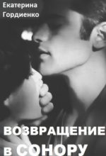 Книга - Екатерина  Гордиенко - Возвращение в Сонору  - читать