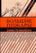 Книга - Вениамин Александрович Каверин - Большие пожары - читать