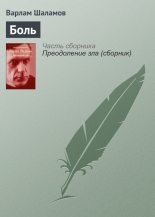 Книга - Варлам Тихонович Шаламов - Боль - читать