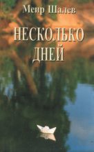 Книга - Меир  Шалев - Несколько дней - читать