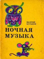 Книга - Валерий Владимирович Шульжик - Ночная музыка - читать