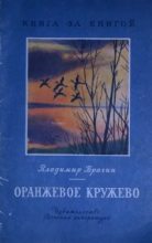 Книга - Владимир Григорьевич Брагин - Оранжевое кружево - читать