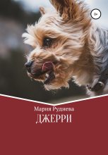 Книга - Мария Сергеевна Руднева - Джерри - читать