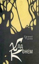 Книга - Евгений Николаевич Руднев - Ход конем - читать