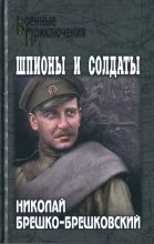 Книга - Николай Николаевич Брешко-Брешковский - Шпионы и солдаты - читать