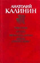 Книга - Анатолий Вениаминович Калинин - Товарищи - читать