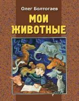 Книга - Олег  Болтогаев - Мурка - читать