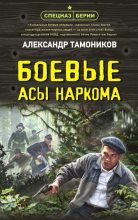 Книга - Александр Александрович Тамоников - Боевые асы наркома - читать