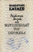 Книга - Валентин Петрович Катаев - Разбитая жизнь, или Волшебный рог Оберона - читать