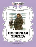 Книга - Елена Александровна Матвеева - Полярная звезда - читать