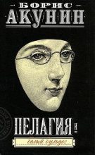 Книга - Борис  Акунин - Пелагия и белый бульдог - читать