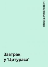 Книга - Ясмина  Михайлович - Завтрак у «Цитураса» - читать