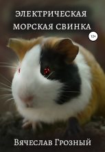 Книга - Вячеслав  Грозный - Электрическая морская свинка - читать