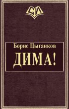 Книга - Борис Александрович Цыганков - Дима! - читать