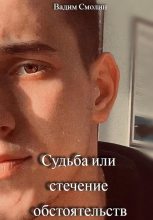Книга - Вадим Сергеевич Смолин - Судьба или стечение обстоятельств - читать