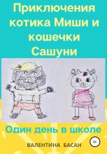 Книга - Валентина  Басан - Приключения котика Миши и кошечки Сашуни. Один день в школе - читать