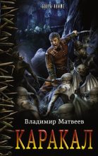Книга - Владимир  Матвеев - Каракал - читать