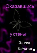 Книга - Даниил Владимирович Байчиков - Оказавшись у стены - читать