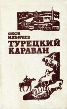 Книга - Яков Ильич Ильичёв - Турецкий караван - читать