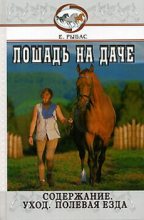 Книга - Екатерина  Рыбас - Лошадь на даче - читать