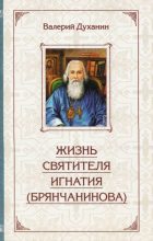 Книга - Валерий Николаевич Духанин - Жизнь святителя Игнатия (Брянчанинова) - читать