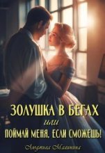 Книга - Людмила  Малинина - Золушка в бегах, или Поймай меня, если сможешь - читать
