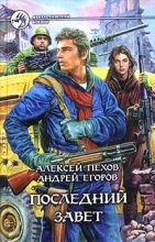 Книга - Андрей Игоревич Егоров - Последний Завет - читать