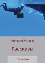 Книга - Анатолий Николаевич Комаров - Рассказы про жизнь - читать