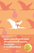 Книга - Татьяна  Панюшева - Приемный ребенок. Жизненный путь, помощь и поддерка - читать