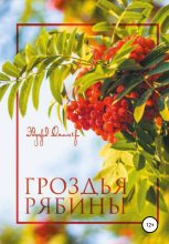 Книга - Эдуард  Дипнер - Гроздья Рябины - читать