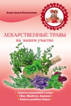 Книга - Анастасия Витальевна Колпакова - Лекарственные травы вашем на участке - читать