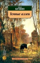 Книга - Иван Алексеевич Бунин - Генрих - читать