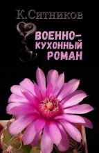 Книга - Кирилл  Ситников - Военно-кухонный роман (СИ) - читать