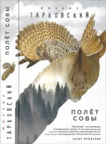 Книга - Михаил Александрович Тарковский - Полёт совы - читать