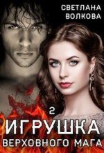 Книга - Светлана  Волкова - Игрушка Верховного Мага 2 (СИ) - читать