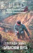 Книга - Ежи  Тумановский - Запасной путь - читать