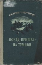 Книга - Семен Михайлович Бытовой - Поезд пришел на Тумнин - читать