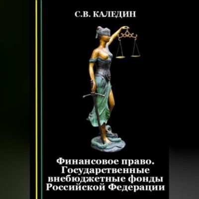 Финансовое право. Государственные внебюджетные фонды Российской Федерации (аудиокнига)