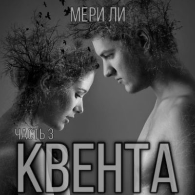 Квента. Финал (аудиокнига)